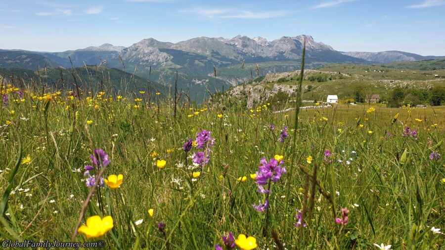 7 Days in Northern Montenegro — In early June